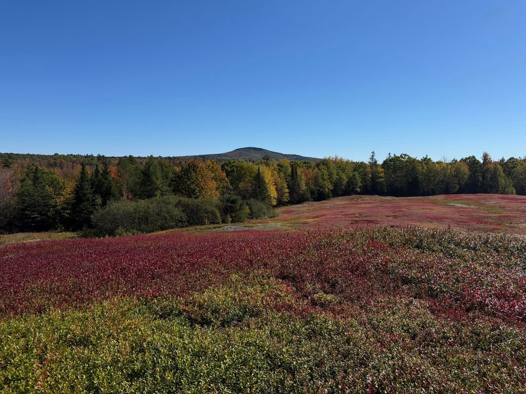 Photo of MAP31LOT29 Land-Perkins, Blue Hill, ME 04614 (MLS # 1646520)