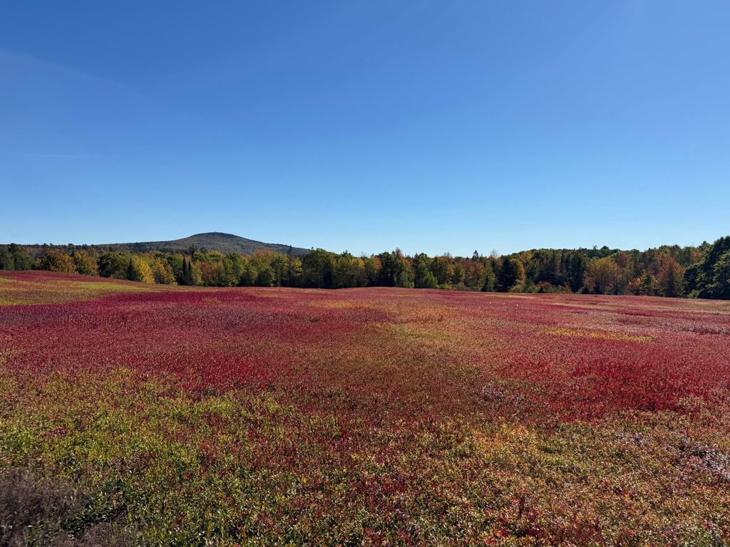 Photo of MAP31LOT29 Land-Perkins, Blue Hill, ME 04614 (MLS # 1646520)