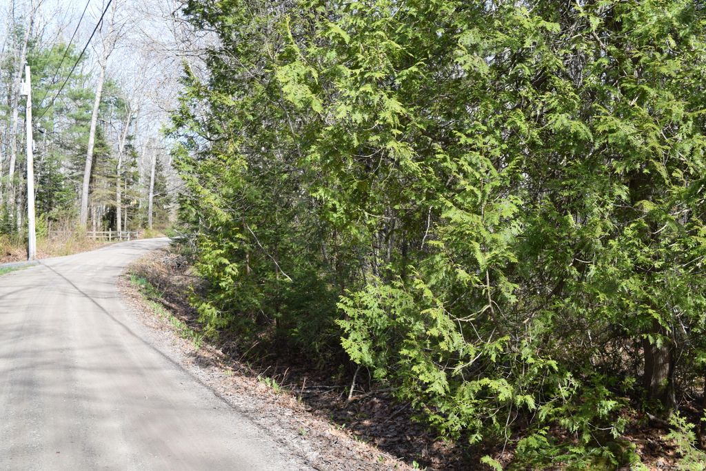 Photo of Lot 49 Heron Lane, Harpswell, ME 04079 (MLS # 1660461)