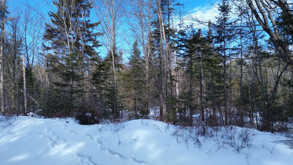 Photo of U7 3E Washington Road, Waldoboro, ME 04572 (MLS # 1652352)