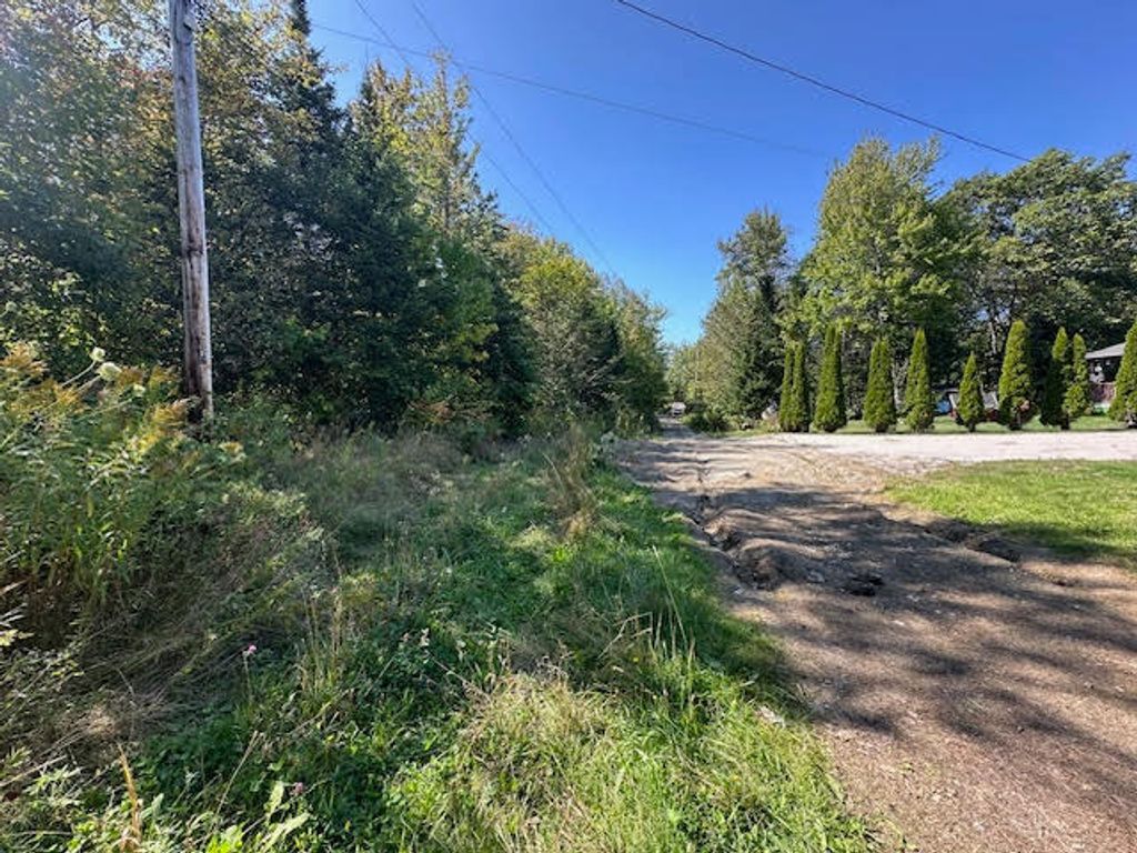 Photo of Map1L431E Sally Mack Road, Frankfort, ME 04438 (MLS # 1642409)