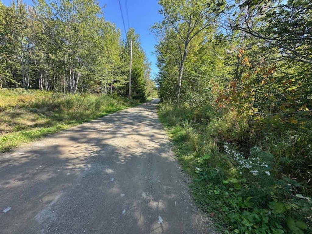Photo of Map1L431E Sally Mack Road, Frankfort, ME 04438 (MLS # 1642409)