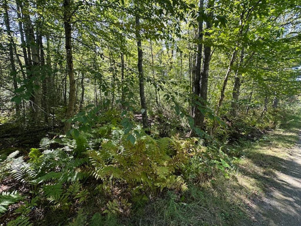 Photo of Map1L431E Sally Mack Road, Frankfort, ME 04438 (MLS # 1642409)