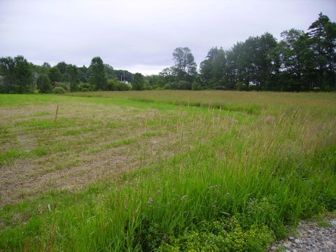 Featured picture for the property 1565033
