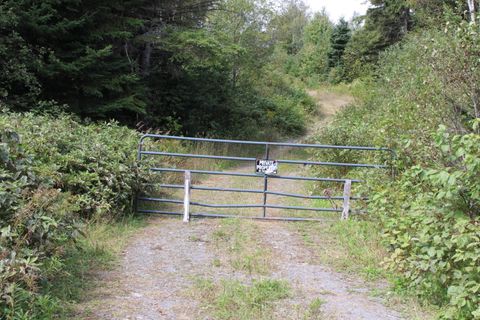 Photo of 44 Paradis Avenue, Frenchville, ME 04745 (MLS # 1658689)