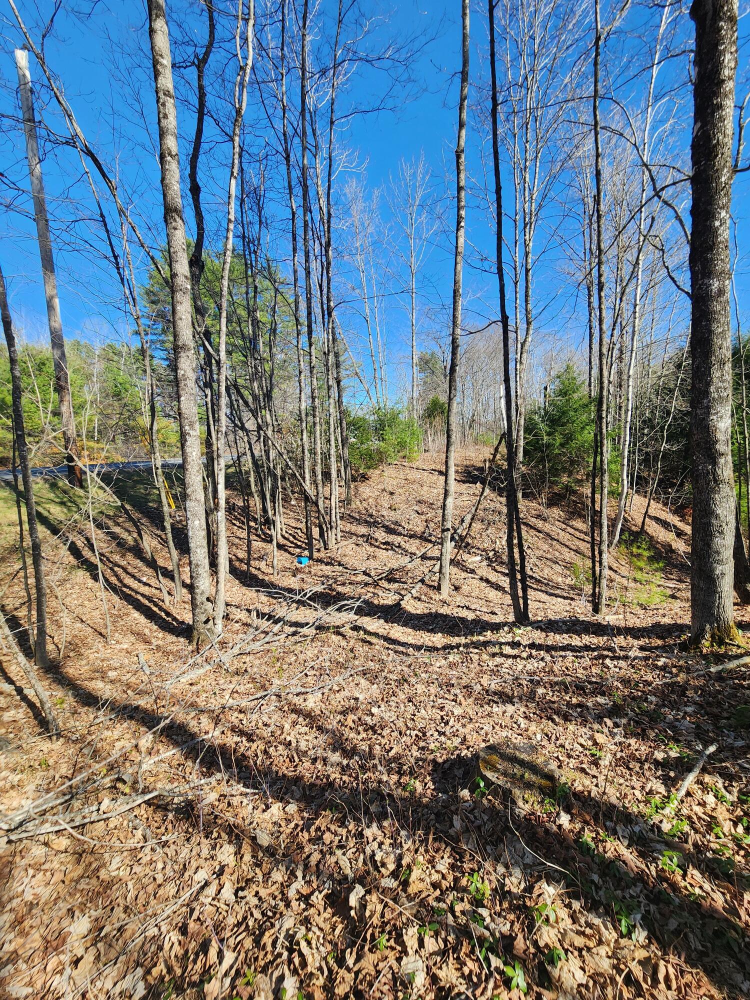 0 Madison Road
