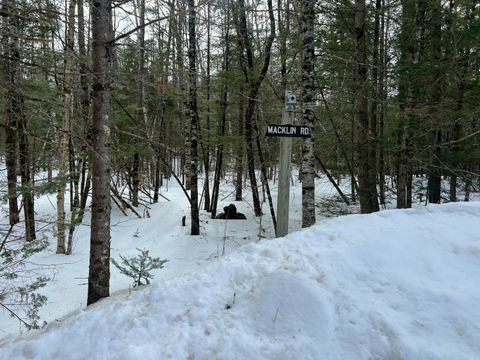 Photo of 15 Macklin Lane, Stoneham, ME 04231 (MLS # 1655437)