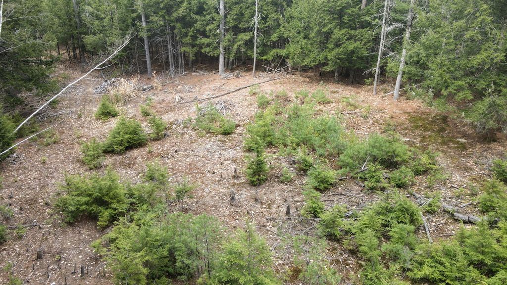 Photo of 57 Dolloff Road, Standish, ME 04084 (MLS # 1659603)