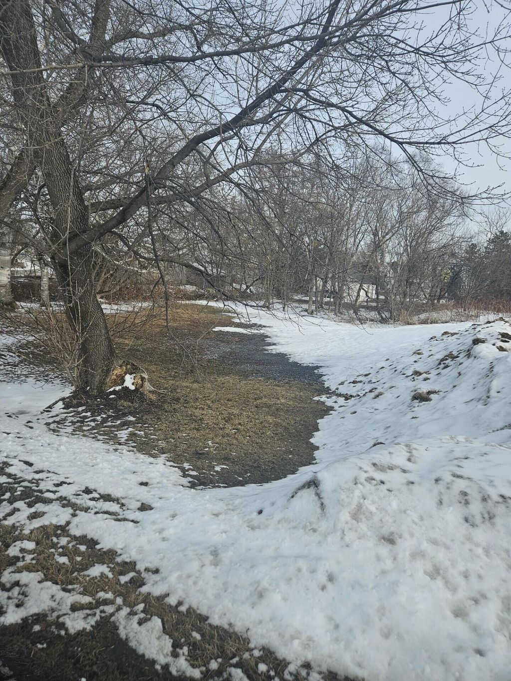 Photo of 6 Short Street, Caribou, ME 04736 (MLS # 1656260)