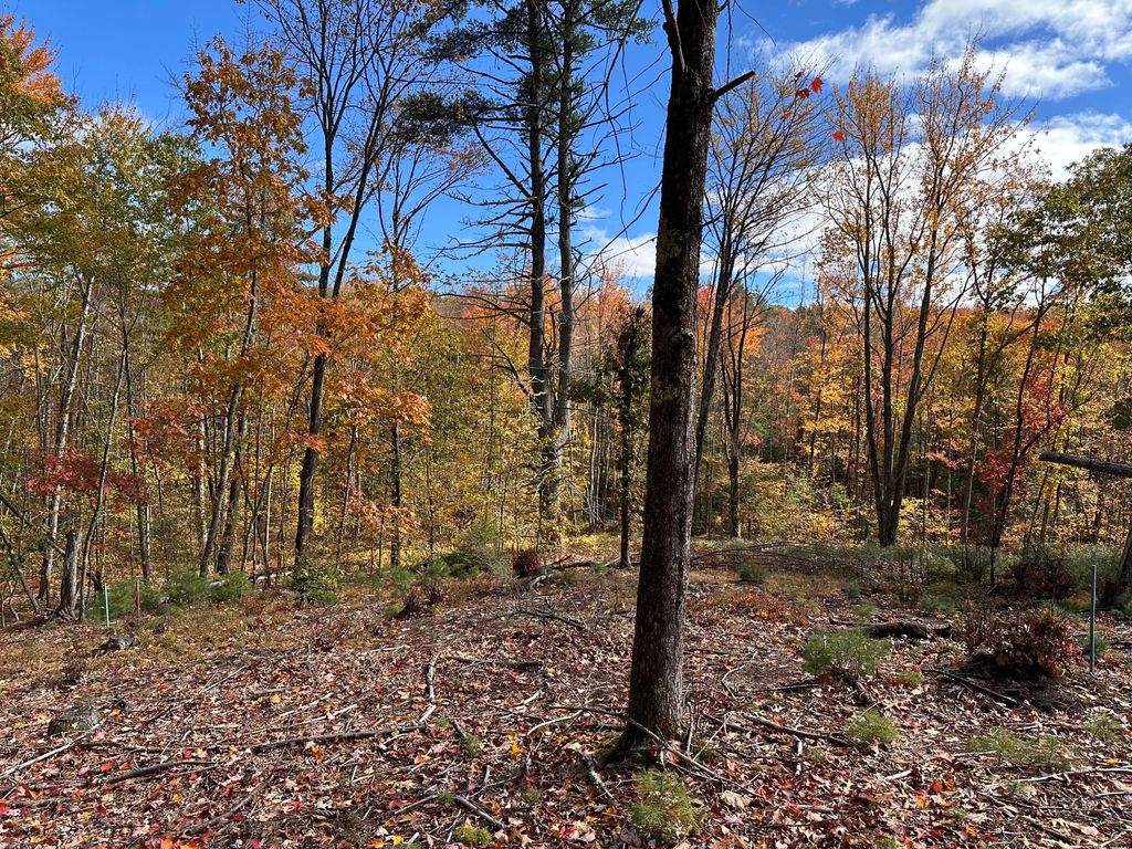 Photo of 0 School House Lane, Lebanon, ME 04027 (MLS # 1641501)