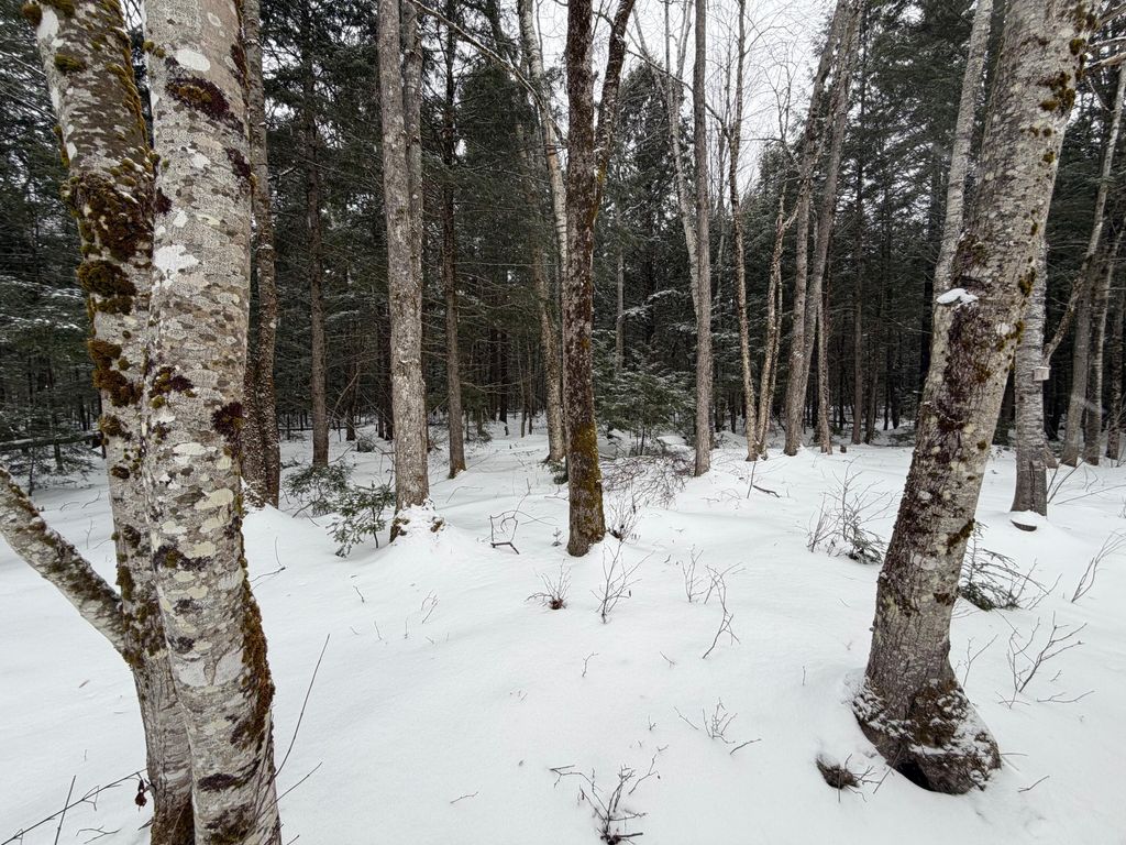 Photo of 20 Compromise Drive, Lagrange, ME 04453 (MLS # 1650342)