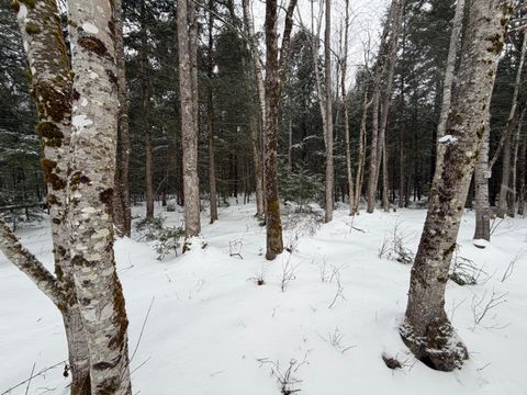 Photo of 20 Compromise Drive, Lagrange, ME 04453 (MLS # 1650342)