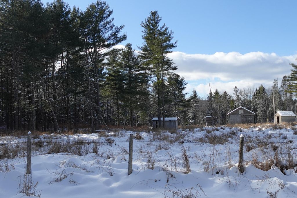 Photo of 261 Bert Berry Road, Embden, ME 04958 (MLS # 1648778)