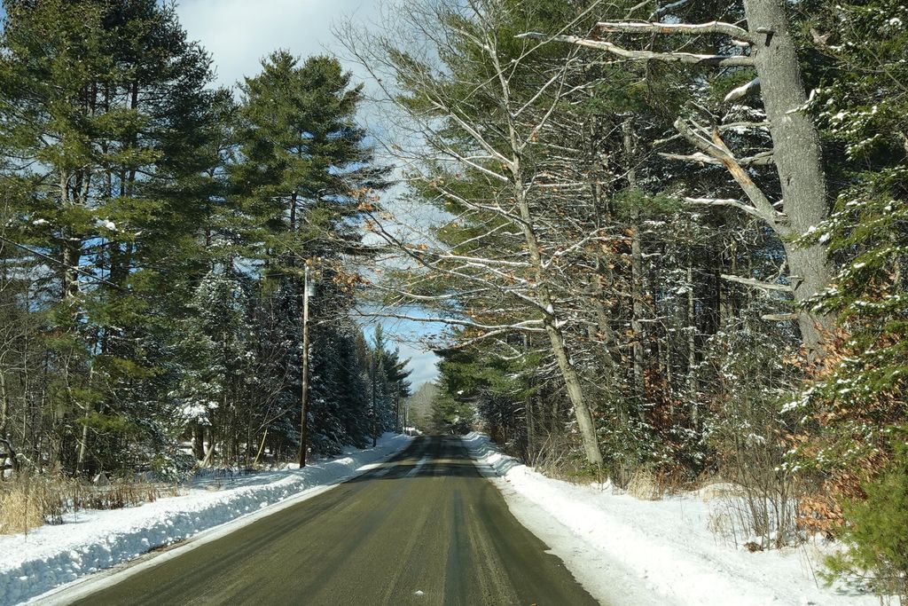 Photo of 261 Bert Berry Road, Embden, ME 04958 (MLS # 1648778)