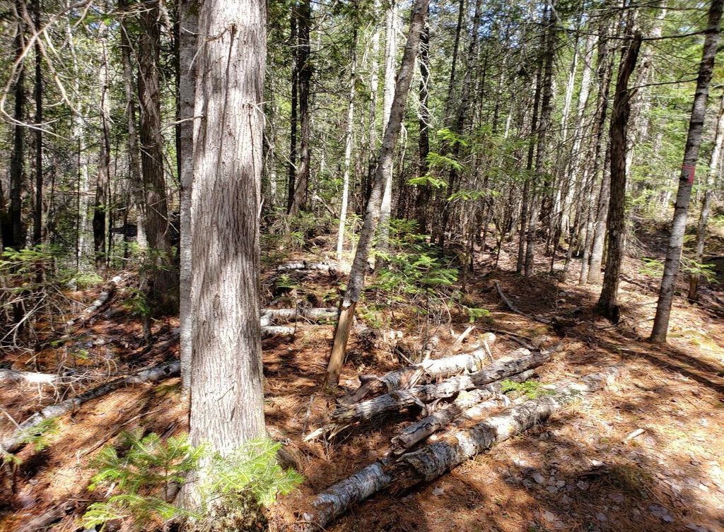 Photo of Lot # Old Commonwealth, Enfield, ME 04493 (MLS # 1653351)