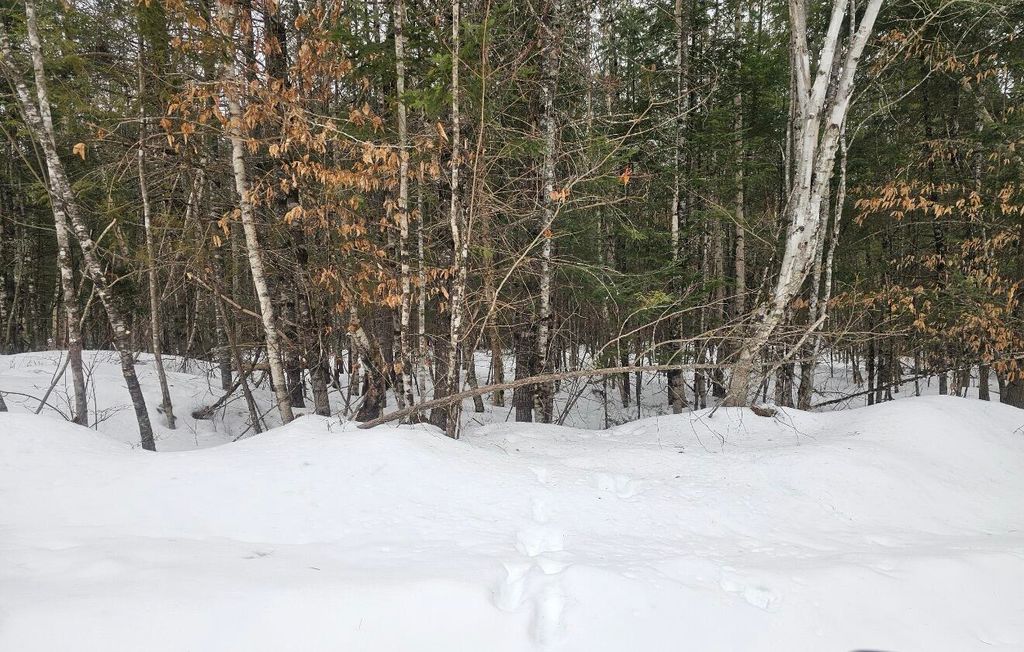 Photo of Lot # Old Commonwealth, Enfield, ME 04493 (MLS # 1653351)