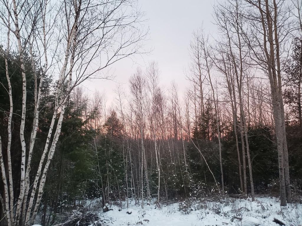 Photo of Lot # Old Commonwealth, Enfield, ME 04493 (MLS # 1653351)