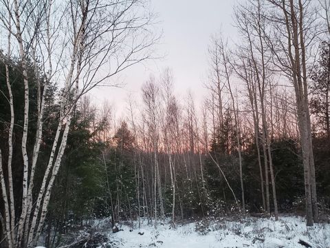 Photo of Lot # Old Commonwealth, Enfield, ME 04493 (MLS # 1653351)