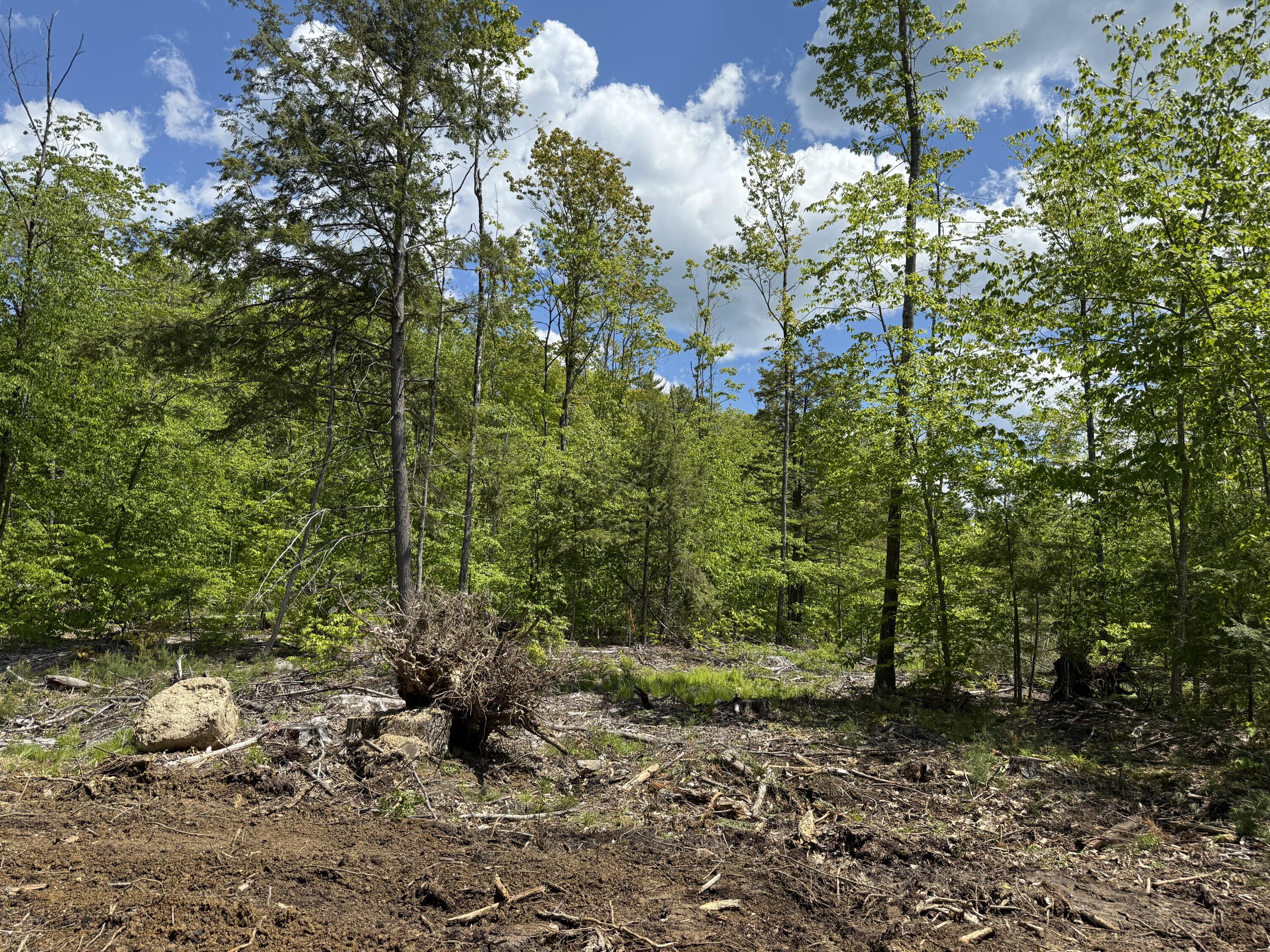 Lot 4 Brookhaven Lane