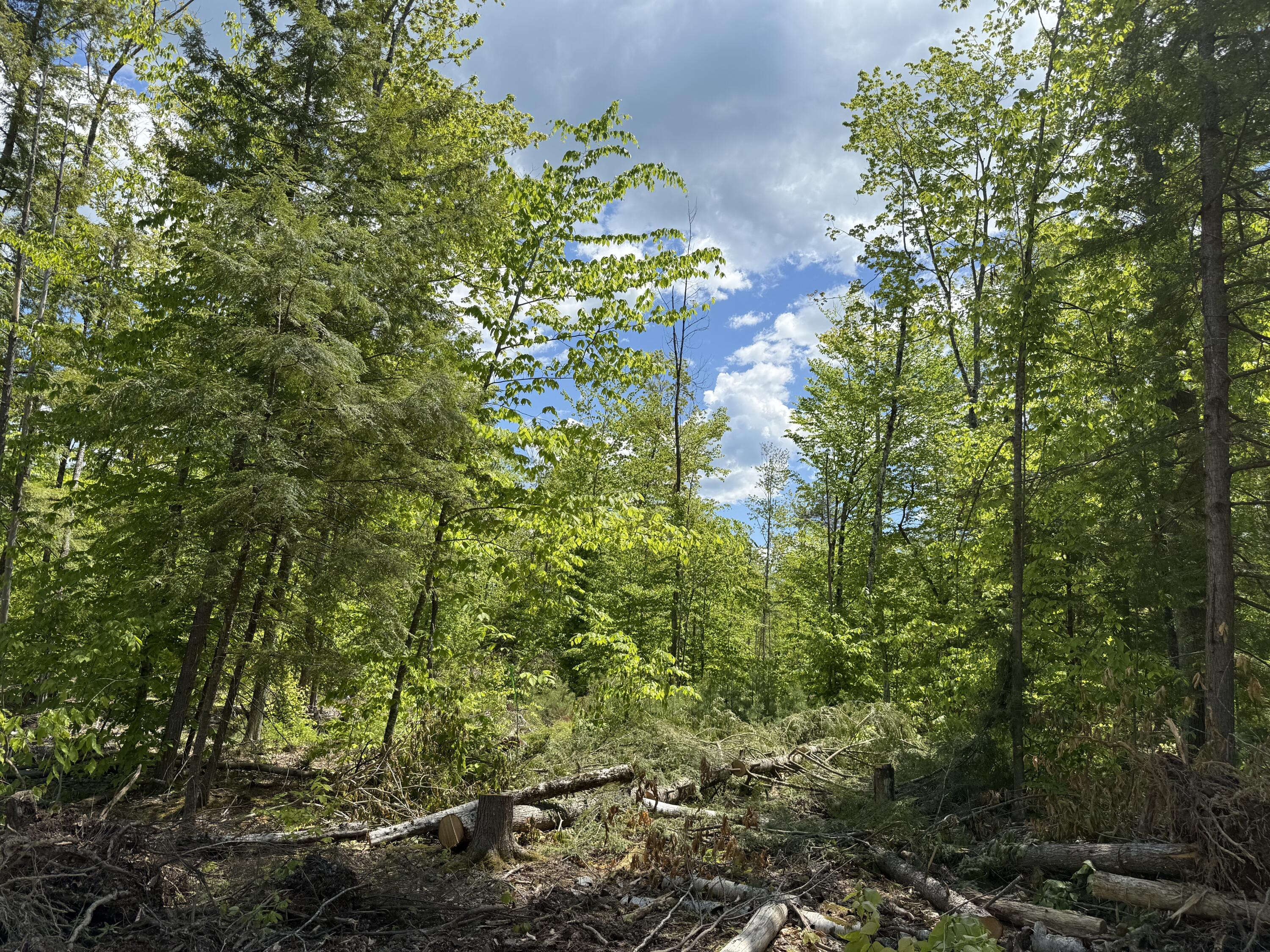 Lot 4 Brookhaven Lane