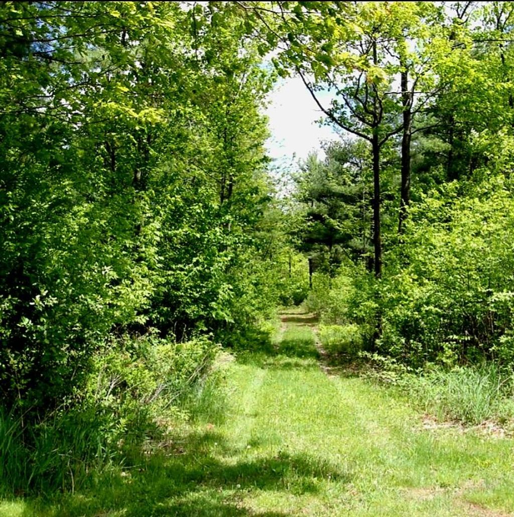 Photo of 2 Melissa Drive, Lewiston, ME 04240 (MLS # 1652066)