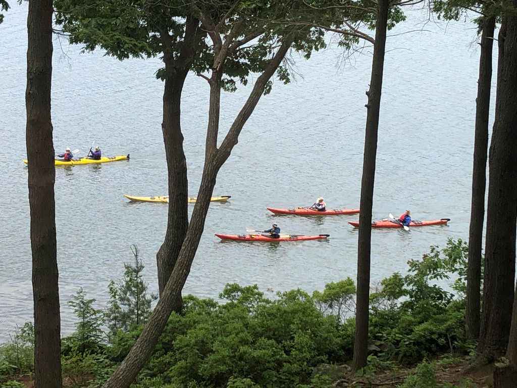 Photo of 105 Cushman Point Road, Wiscasset, ME 04578 (MLS # 1656143)