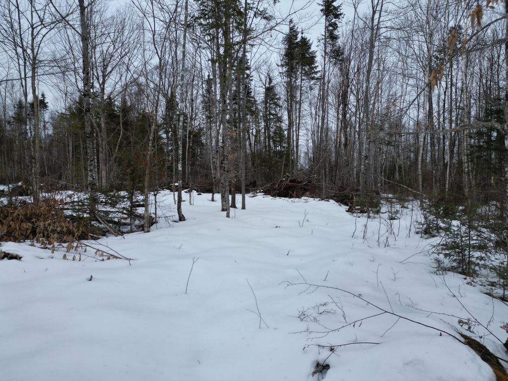 Photo of Lot 1 Moores Road, Springfield, ME 04487 (MLS # 1652048)