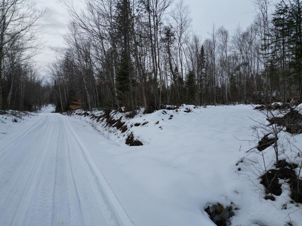 Photo of Lot 1 Moores Road, Springfield, ME 04487 (MLS # 1652048)