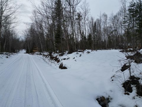 Photo of Lot 1 Moores Road, Springfield, ME 04487 (MLS # 1652048)