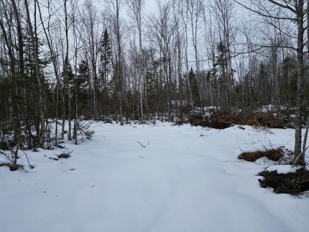 Photo of Lot 1 Moores Road, Springfield, ME 04487 (MLS # 1652048)