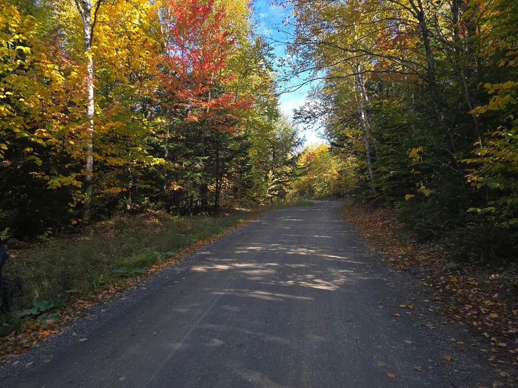 Photo of Lot 6N South Shore Road, Island Falls, ME 04747 (MLS # 1639350)