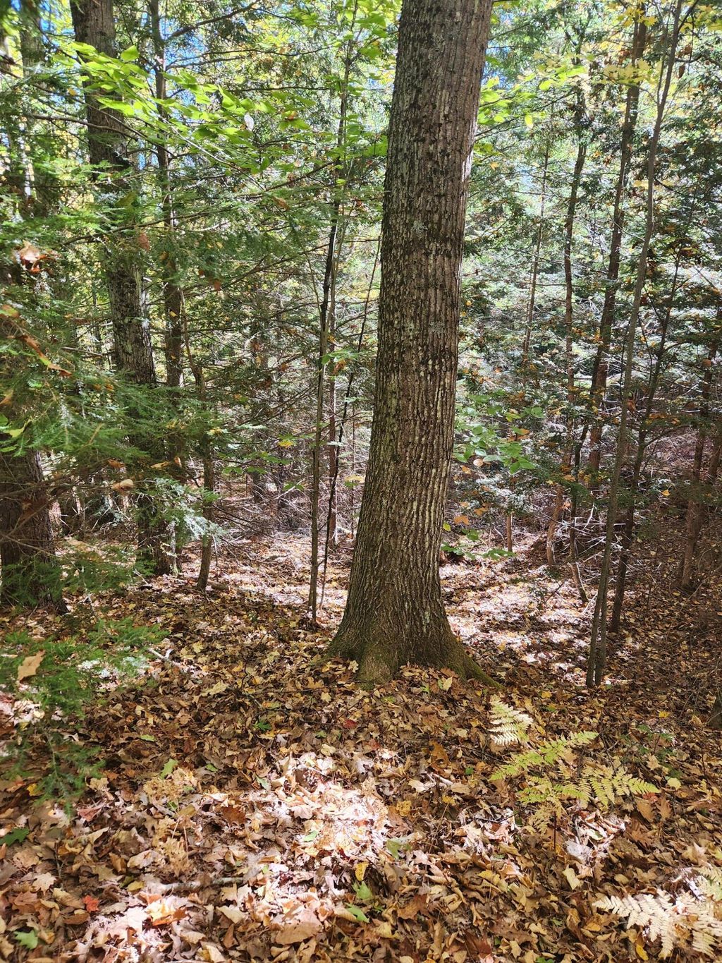 Photo of 14D Thomas Hill Road, Norway, ME 04268 (MLS # 1639592)