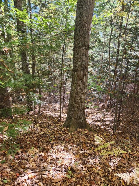 Photo of 14D Thomas Hill Road, Norway, ME 04268 (MLS # 1639592)