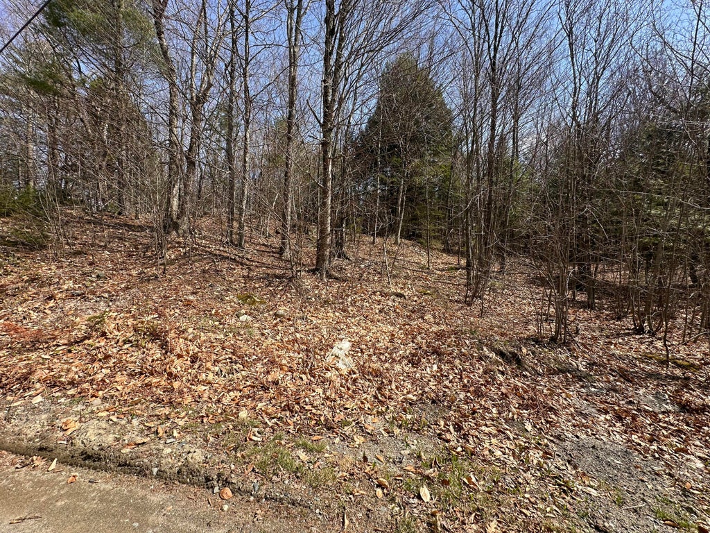 Photo of Lot 2 Filaroska Road, New Sharon, ME 04955 (MLS # 1660948)
