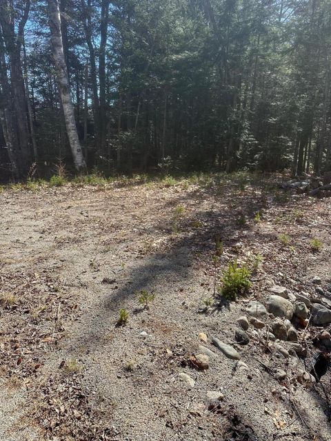 Photo of 0 Route 1 Route, Gouldsboro, ME 04607 (MLS # 1658257)