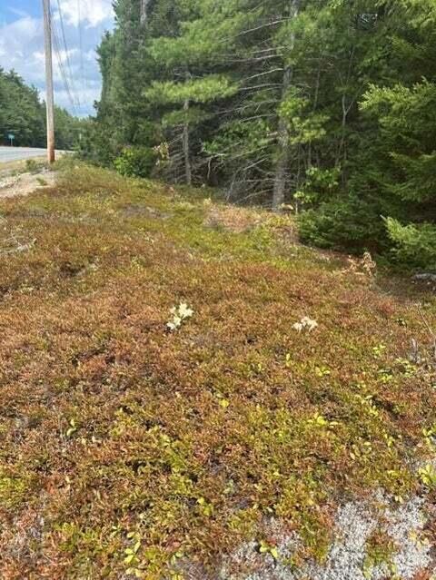 Photo of 0 Route 1 Route, Gouldsboro, ME 04607 (MLS # 1658257)