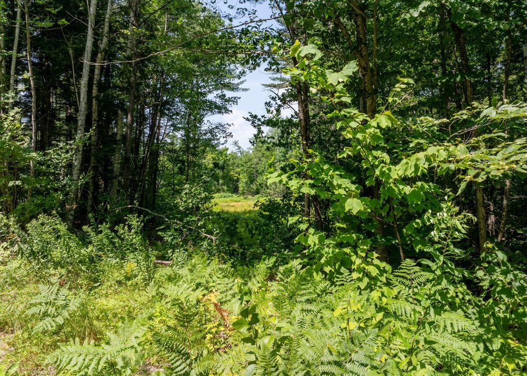 Photo of tbd Morse Hill Road, West Paris, ME 04289 (MLS # 1642490)