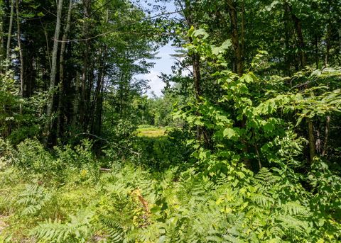 Photo of tbd Morse Hill Road, West Paris, ME 04289 (MLS # 1642490)
