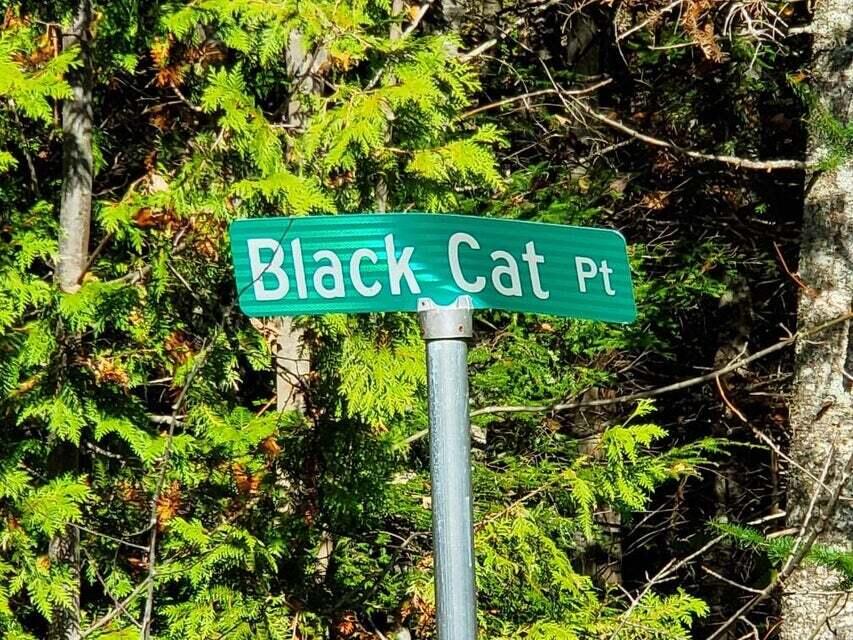 0 Blackcat Pt Drive