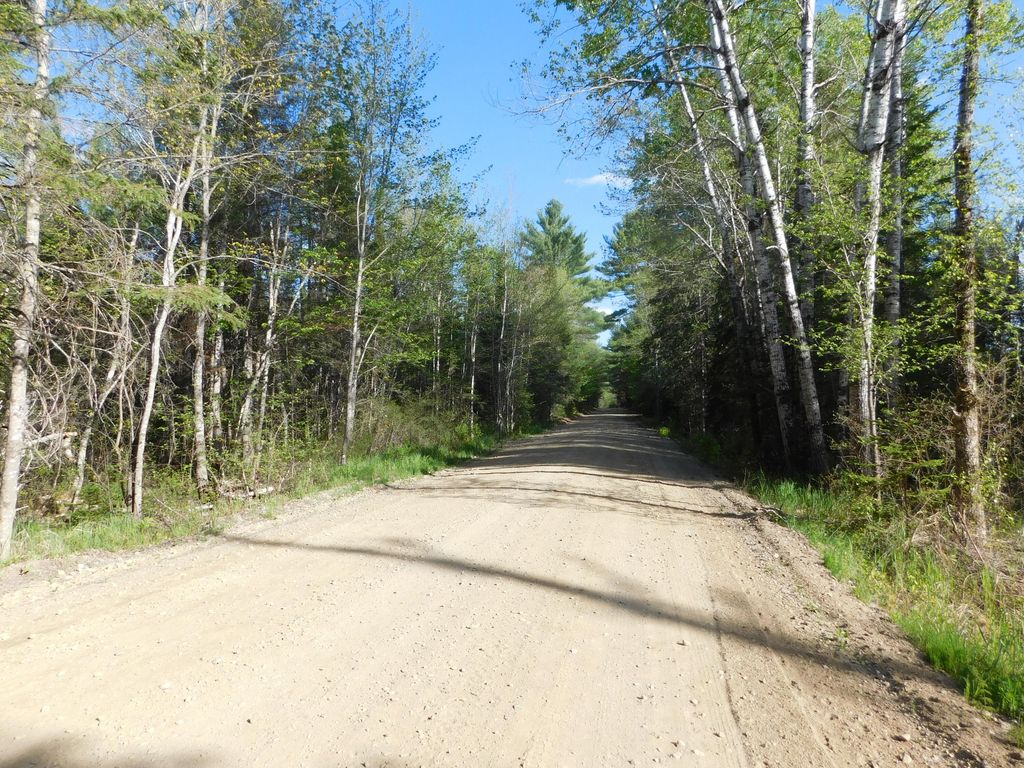 Photo of 143 Fogg Brook, Lowell, ME 04493 (MLS # 1664077)
