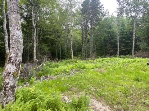 Photo of 53 Woodland Drive, Trenton, ME 04605 (MLS # 1657674)