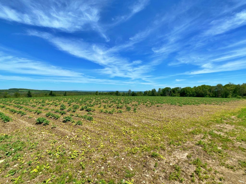 Photo of 20-24 Caribou Road, Cyr Plt, ME 04785 (MLS # 1630077)