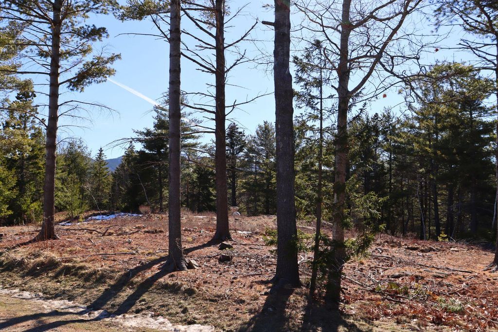 Photo of Lot 21 Hamilton Hill Way, Bar Harbor, ME 04609 (MLS # 1653940)