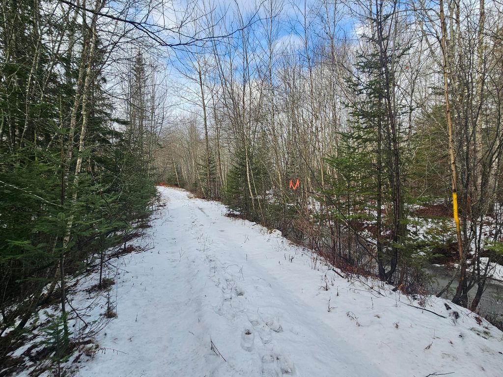 Photo of M2, L4 Off Sacarap Road, Columbia, ME 04623 (MLS # 1645993)