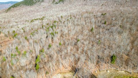 Photo of 00 Locke Mountain Road, Bethel, ME 04217 (MLS # 1599749) Photo of 00 Locke Mountain Road, Bethel, ME 04217 (MLS # 1599749)