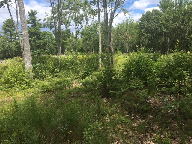 Photo 1 of 5 — 00 Bucksport Road, Ellsworth, ME 04605