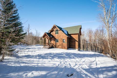 Photo of 39 Adams Wulff Lane, Sandy River Plt, ME 04970 (MLS # 1644153)
