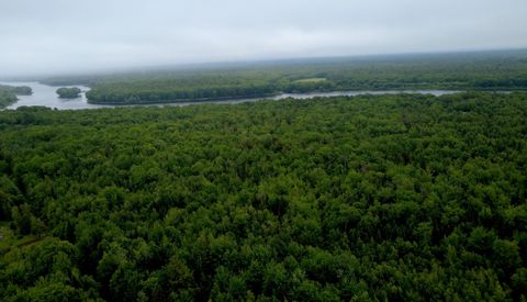 Photo of Lot 31 Edinburg Road, Argyle Twp, ME 04468 (MLS # 1627990)