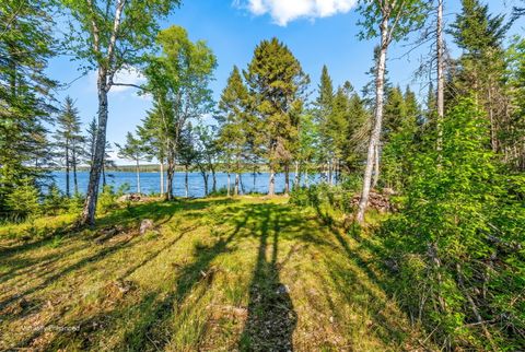 Photo of 7 White Tail Lane, Gouldsboro, ME 04607 (MLS # 1659085)