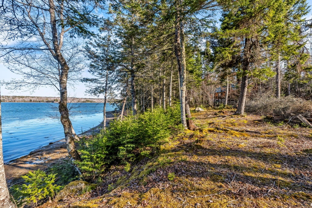 Photo of 7 White Tail Lane, Gouldsboro, ME 04607 (MLS # 1659085)